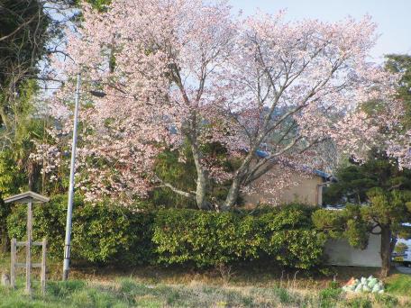 130412_09.jpg