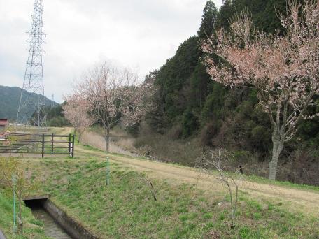 130414_02.jpg