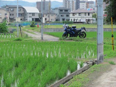 130701_03.jpg