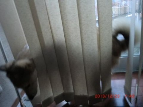 201312230744.jpg