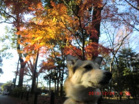201312240806.jpg