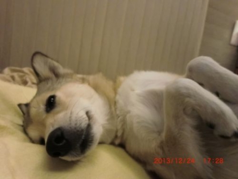 201312241728.jpg