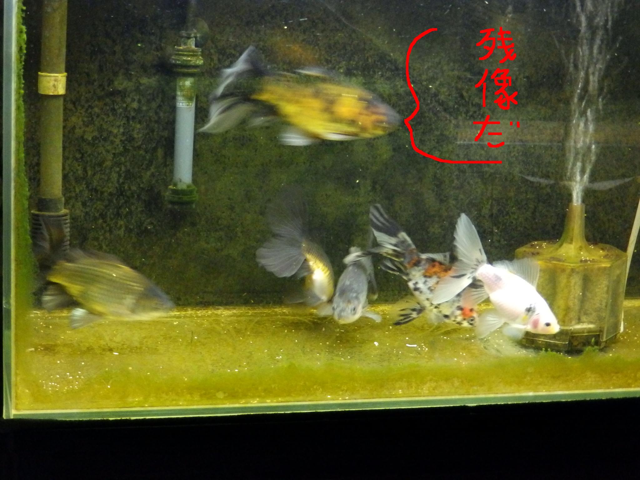 2013・11・27・5