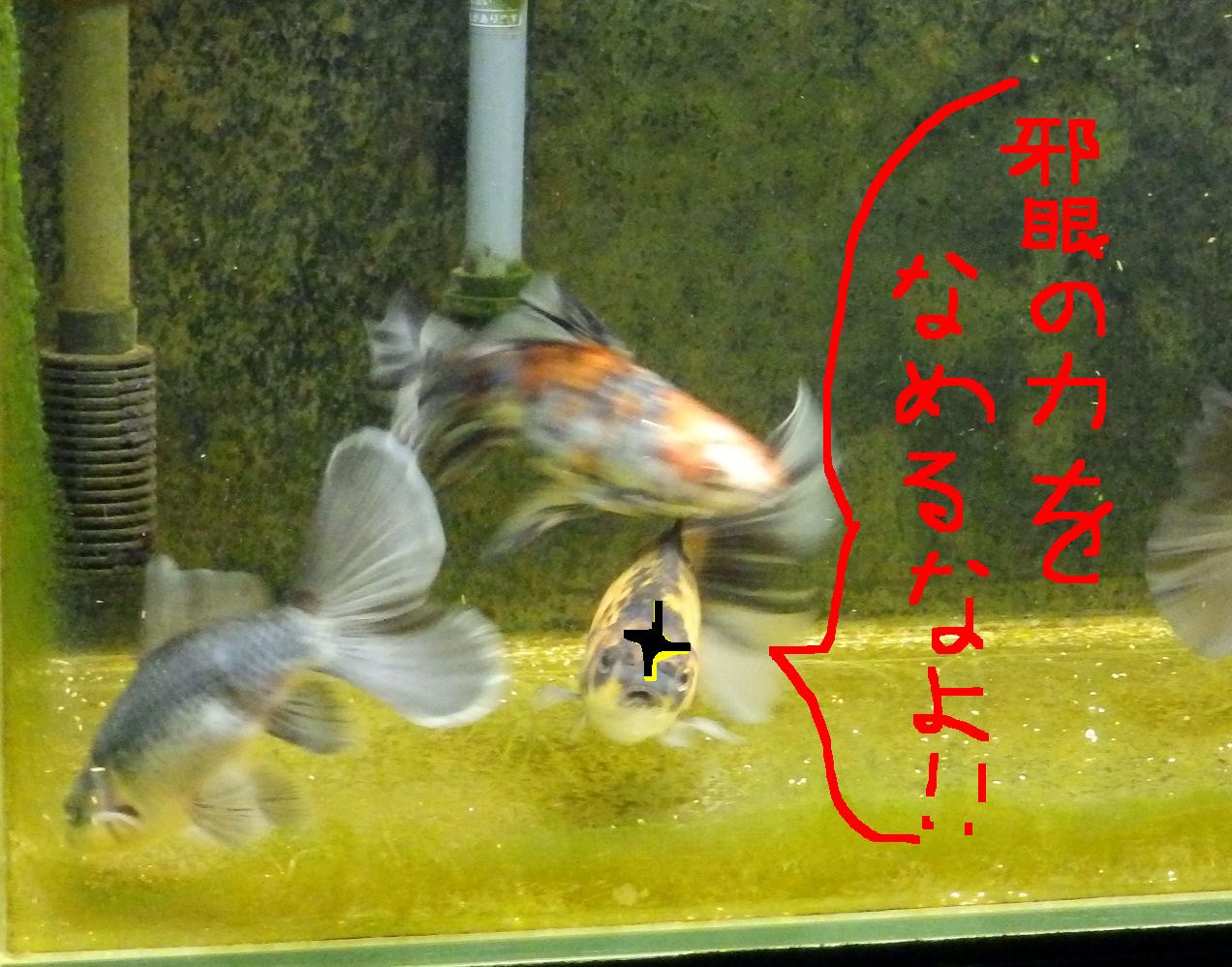 2013・11・26・3