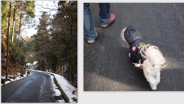 2013-01-009_convert_20130210020341.jpg