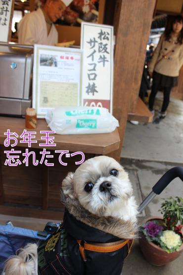・搾シ選MG_2224_convert_20130129021156