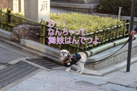 ・搾シ的MG_2478_convert_20130203231730
