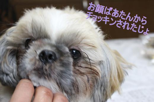 ・搾シ的MG_2869_convert_20130204211326
