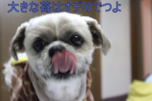 ・搾シ蜂MG_2876_convert_20130204211350