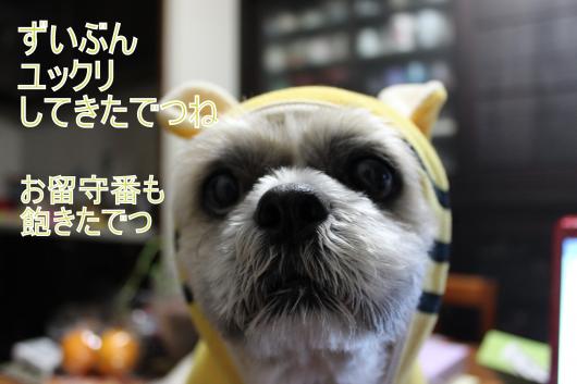 ・搾シ的MG_2905_convert_20130206003622