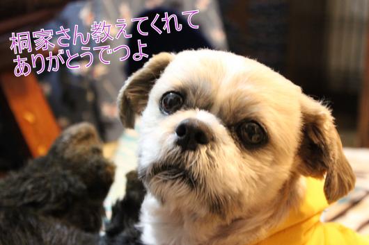 ・搾シ祢MG_2932_convert_20130207210100 - コピー