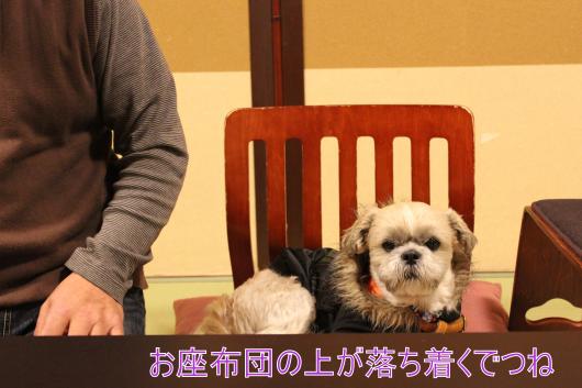 ・搾シ的MG_2508_convert_20130208002943