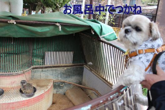 ・搾シ的MG_2630_convert_20130210215715