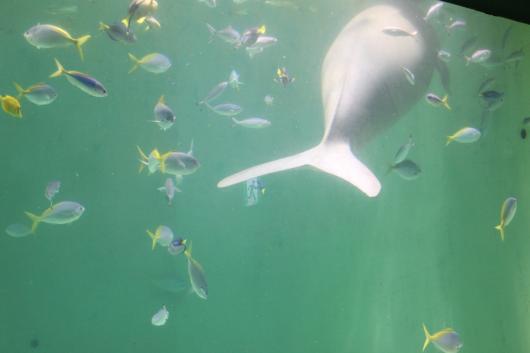 IMG_2322_convert_20130130032154.jpg