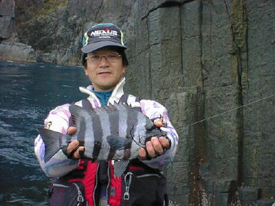 05.jpg