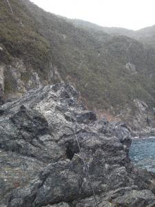 2011_02010015.jpg