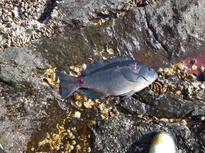 2011_02010030.jpg