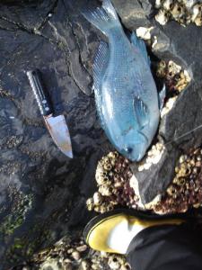 2011_05160014.jpg