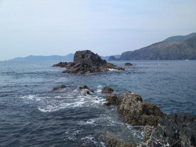 2011_05160020.jpg