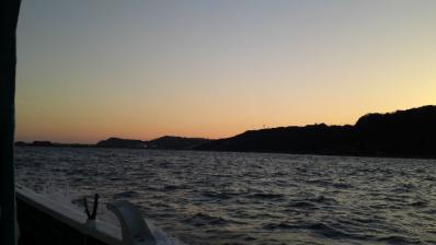 2012_02130007.jpg