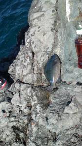 2012_02130013.jpg