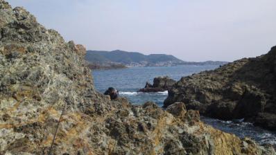 2012_02240007.jpg