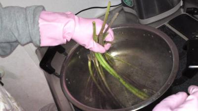 2012_03270002.jpg