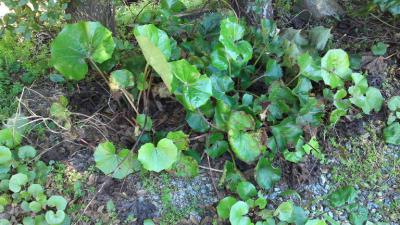 2012_03270004.jpg
