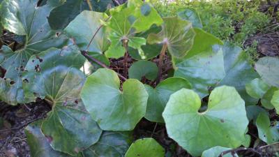 2012_03270005.jpg