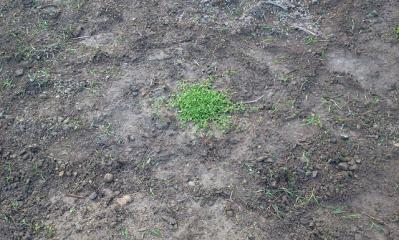 26620118_1148487279_54large.jpg