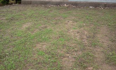 26620118_1148487297_209large_20120121004907.jpg