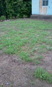 26620118_1174890443_155large_20120121004906.jpg