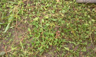 26620118_1290080497_246large.jpg