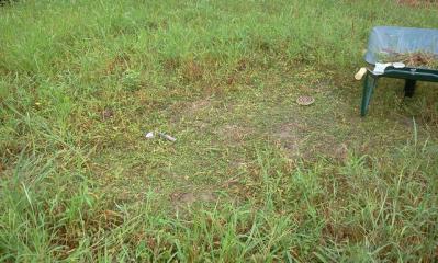 26620118_1290080514_230large.jpg