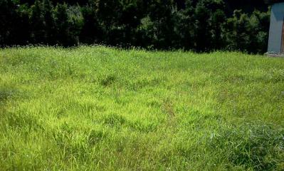 26620118_1290080531_171large.jpg