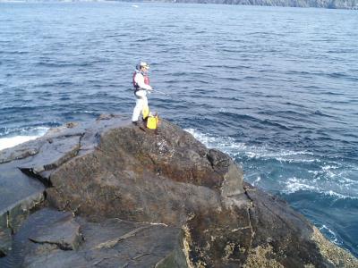 CA310339.jpg