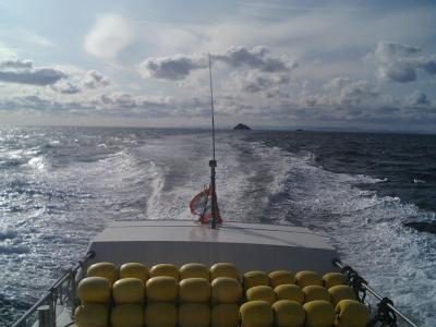 CA310350.jpg