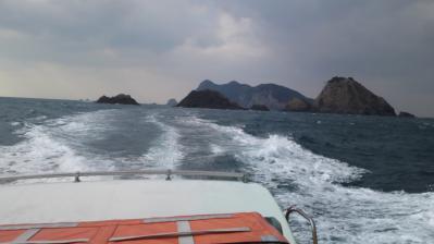 PAP_0017.jpg