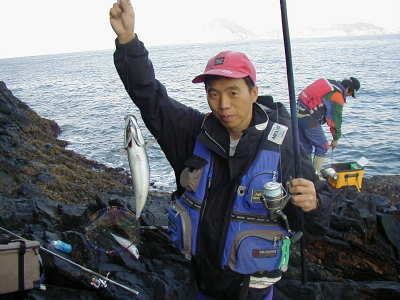 saba45.jpg