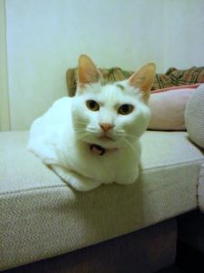 DSC_1516.jpg