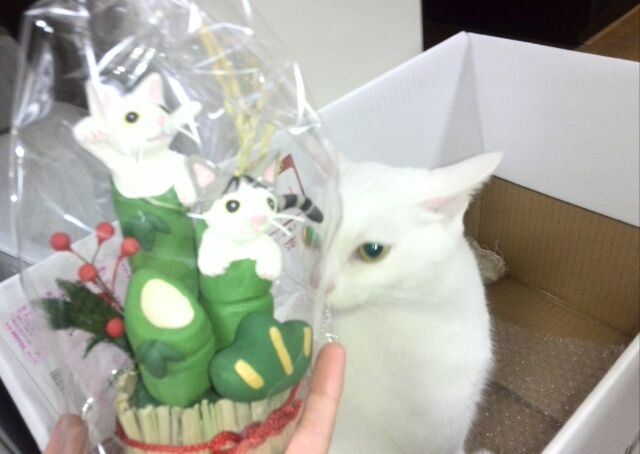 お正月飾り10