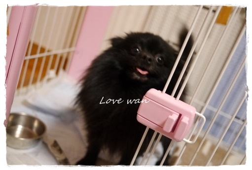love_20130507202219.jpg