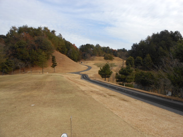DSCN0669.jpg