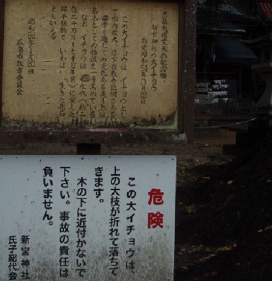 2013_1214_112914-PC140128.jpg