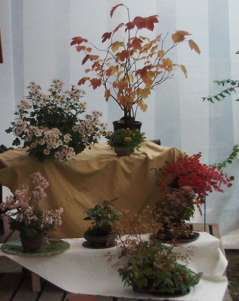 PC010138.jpg