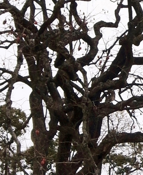 R0013840.jpg