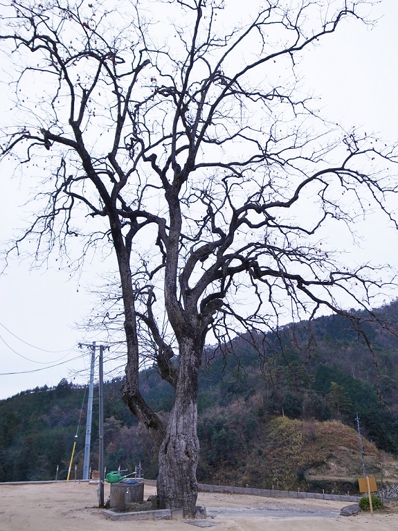 R0013843.jpg