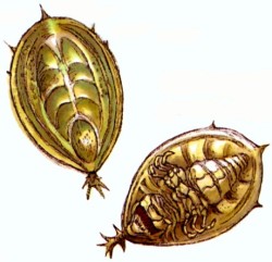 20110918.jpg