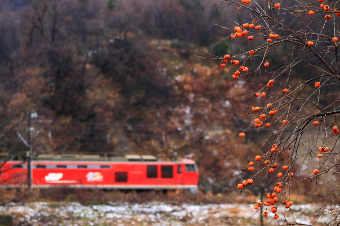131219_1.jpg