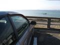 IMG_1609s.jpg
